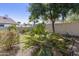 Lush backyard landscaping featuring mature trees, desert plants, and rock features at 16008 S 13Th Way, Phoenix, AZ 85048