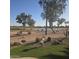 Picturesque golf course view with mature trees and a tranquil pond at 16488 W Windsor Ave, Goodyear, AZ 85395