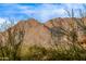 Picturesque mountain view framed by desert vegetation at 17902 N 93Rd Way, Scottsdale, AZ 85255