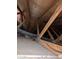 View into the attic showing framing, wiring and insulation at 3452 E Evans Dr, Phoenix, AZ 85032