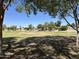 Community soccer field set in an open, green space and mature trees; great for sports and recreation at 1077 E Loma Vista St, Gilbert, AZ 85295