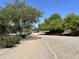 Scenic community walking trail lined with mature trees and landscaped greenery under a clear blue sky at 1077 E Loma Vista St, Gilbert, AZ 85295