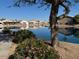 Picturesque view of the pond with surrounding homes and lush landscaping at 11029 W Oraibi Dr, Peoria, AZ 85373