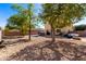 Large backyard with gravel, mature trees, and a patio area perfect for outdoor gatherings at 2478 W Allens Peak Dr, San Tan Valley, AZ 85144