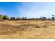 Vast, dry grassy field in a neighborhood park with trees and nearby houses at 2478 W Allens Peak Dr, San Tan Valley, AZ 85144