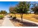 Scenic park path with mature trees, a grassy field, and residential views at 2478 W Allens Peak Dr, San Tan Valley, AZ 85144