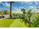 Lush backyard featuring an artificial putting green and mature palm trees at 4381 N 86Th St, Scottsdale, AZ 85251