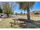 Park featuring a picnic table, grassy area, mature trees, and a basketball court at 920 N 82Nd N St # H203, Scottsdale, AZ 85257