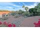 Expansive backyard featuring lush greenery, desert landscaping and mature palm trees at 14236 N 28Th St, Phoenix, AZ 85032