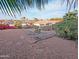 Backyard featuring desert landscaping, mature trees and a stone creek bed at 14236 N 28Th St, Phoenix, AZ 85032