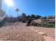 Landscaped backyard featuring desert landscaping, mature foliage and a stone pathway at 14236 N 28Th St, Phoenix, AZ 85032