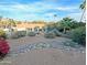 Wide backyard featuring drought-resistant landscaping, mature trees and scenic views at 14236 N 28Th St, Phoenix, AZ 85032