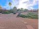 Landscaped backyard featuring desert landscaping, mature foliage and a stone pathway at 14236 N 28Th St, Phoenix, AZ 85032