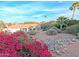 Desert landscaped backyard with beautiful blooms and views of mature desert trees and other greenery at 14236 N 28Th St, Phoenix, AZ 85032