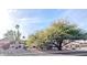 Street view highlighting the home's well-kept landscaping, mature trees, and inviting curb appeal at 14236 N 28Th St, Phoenix, AZ 85032