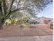 Well-maintained front yard featuring desert landscaping, mature trees, and a charming one-story house at 14236 N 28Th St, Phoenix, AZ 85032