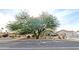 Charming front yard with mature trees, desert landscaping, and a traditional-style home in a sunny location at 14236 N 28Th St, Phoenix, AZ 85032