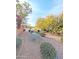 Lush desert landscaping with gravel, mature plants, and trees surrounding a home at 14236 N 28Th St, Phoenix, AZ 85032