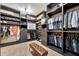 Large walk-in closet with custom shelving and storage for clothing and accessories at 1464 E Aris Dr, Gilbert, AZ 85298