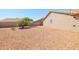 Wide backyard featuring desert landscaping with mature shade tree and block wall at 3245 N 147Th Ln, Goodyear, AZ 85395