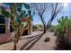 Lush backyard featuring desert landscaping and a covered patio, offering a tranquil retreat at 32960 N 70Th St, Scottsdale, AZ 85266