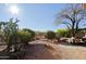 Expansive backyard with a covered patio, desert landscaping, and mature trees for privacy at 32960 N 70Th St, Scottsdale, AZ 85266