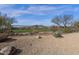 Fenced backyard with desert views at 33250 N 71St St, Scottsdale, AZ 85266