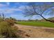 Scenic view of the golf course with desert vegetation and a walking path at 33250 N 71St St, Scottsdale, AZ 85266