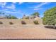 Backyard featuring desert landscaping and a low privacy wall at 13764 W Meeker Blvd, Sun City West, AZ 85375