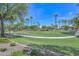 Lush green lawn with walking path and mature palm trees in a well-maintained community park at 17133 W Blue Sky Dr, Surprise, AZ 85387