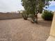 Backyard features rock groundcover and a block wall adding privacy at 17914 N Fiano Dr, Maricopa, AZ 85138