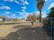 Spacious backyard with mature trees and a chain-link fence at 8350 W Monroe St, Peoria, AZ 85345