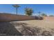 Backyard surrounded by tall block wall at 13011 W Mandalay Ln, El Mirage, AZ 85335