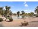 Scenic pond with mature trees and landscaping, offering a peaceful setting at 15563 W Roanoke Ave, Goodyear, AZ 85395