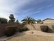 Backyard with desert landscaping featuring mature palm trees and bushes at 2146 E Aloe Pl, Chandler, AZ 85286