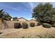 View of the grassy backyard featuring desert landscaping with rock groundcover and bushes at 2146 E Aloe Pl, Chandler, AZ 85286