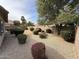 Desert landscaping backyard features mature trees, bushes and a block fence for privacy at 2146 E Aloe Pl, Chandler, AZ 85286