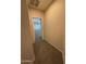 Hallway with neutral walls and carpeted floors connects seamlessly to a sunlit bedroom through an open door at 2146 E Aloe Pl, Chandler, AZ 85286