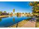 Beautiful pond view with ducks, mature trees, and surrounding homes on a clear day at 2415 Leisure World --, Mesa, AZ 85206