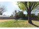 Lush backyard with a healthy lawn, mature trees and an inviting bench at 508 W Harmont Dr, Phoenix, AZ 85021