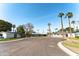 Charming neighborhood street lined with well-kept homes and mature palm trees at 508 W Harmont Dr, Phoenix, AZ 85021