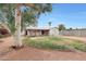 Picture of a backyard with grass area, block fence, patio and mature trees at 808 W 9Th St, Tempe, AZ 85281