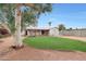 Lush green lawn in the backyard creates a serene oasis, complemented by mature trees offering shade and tranquility at 808 W 9Th St, Tempe, AZ 85281