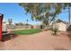 Expansive backyard with a well-maintained lawn, mature trees, and ample space for outdoor activities and entertaining at 808 W 9Th St, Tempe, AZ 85281