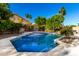 Inviting backyard pool with a tanning ledge, surrounded by greenery and palm trees for a tropical oasis at 10452 E Florian Ave, Mesa, AZ 85208