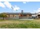 Lush backyard with a covered patio area, fruit trees, and a freshly manicured lawn, ideal for outdoor enjoyment at 1109 E 8Th St, Mesa, AZ 85203