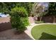 Backyard with artificial turf and desert landscaping, showcasing an inviting outdoor space with mature trees at 11207 N 165Th Ave, Surprise, AZ 85388