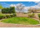 Green backyard with a neatly manicured lawn bordered with decorative rock and a privacy fence for outdoor enjoyment at 1165 E Erie St, Gilbert, AZ 85295