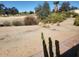 Picturesque backyard with desert plants and a view of the golf course from the back patio at 17200 W Bell Rd # 2301, Surprise, AZ 85374