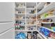 Well-organized walk-in pantry featuring ample shelving for food storage and household goods at 21036 E Stacey Rd, Queen Creek, AZ 85142